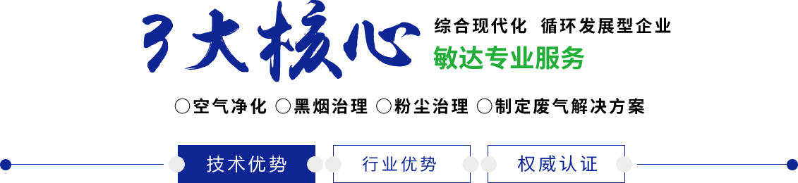 国产又骚又贱又帅又丑又白又嫩又滑敏达环保科技（嘉兴）有限公司